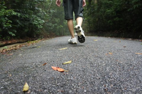 27+ Trekking at hutan lipur gunung pulai info